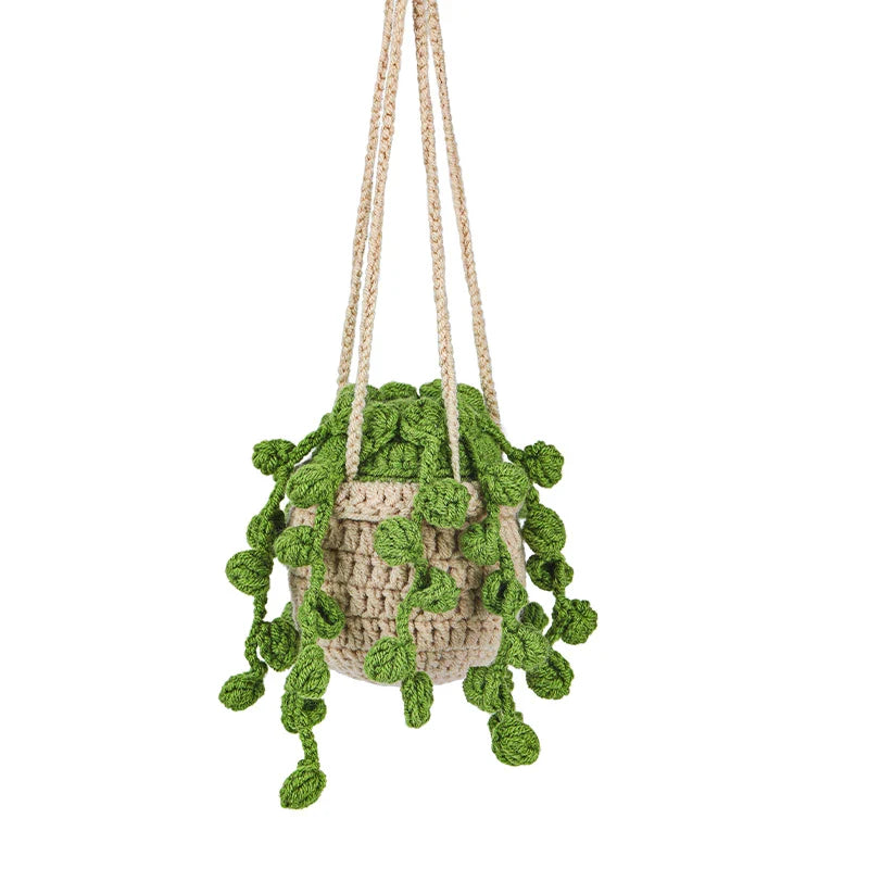 Hanging Plant DIY Kit