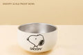 Snoopy Stainless Steel Bowl