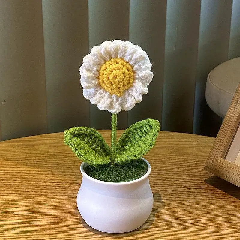 Single Daisy In A Pot Crochet