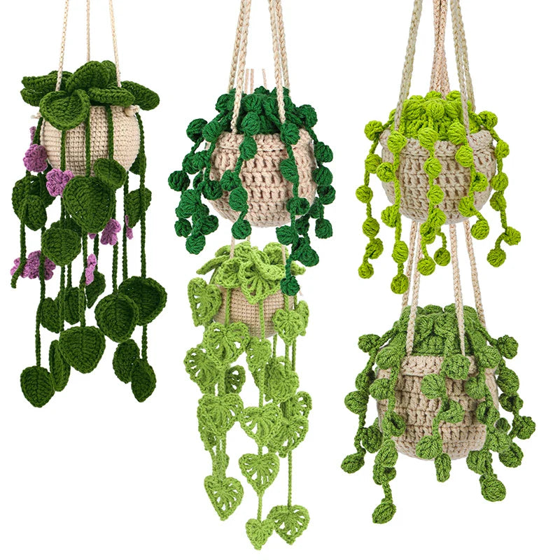 Hanging Plant DIY Kit