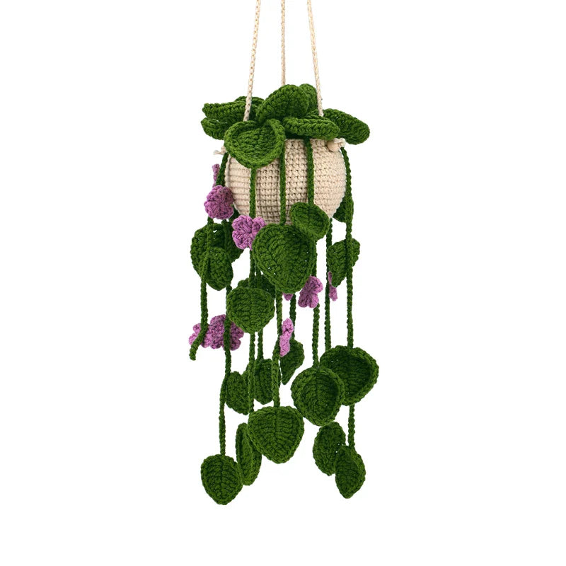 Hanging Plant DIY Kit