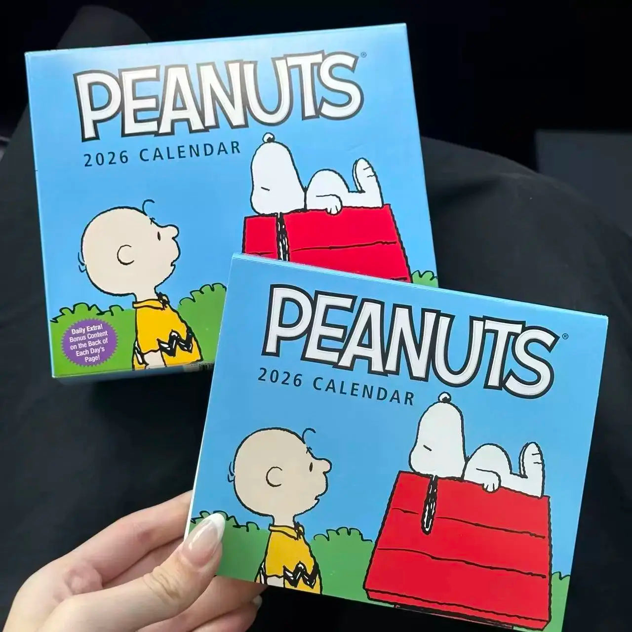 Peanuts Daily 2025 Calendar