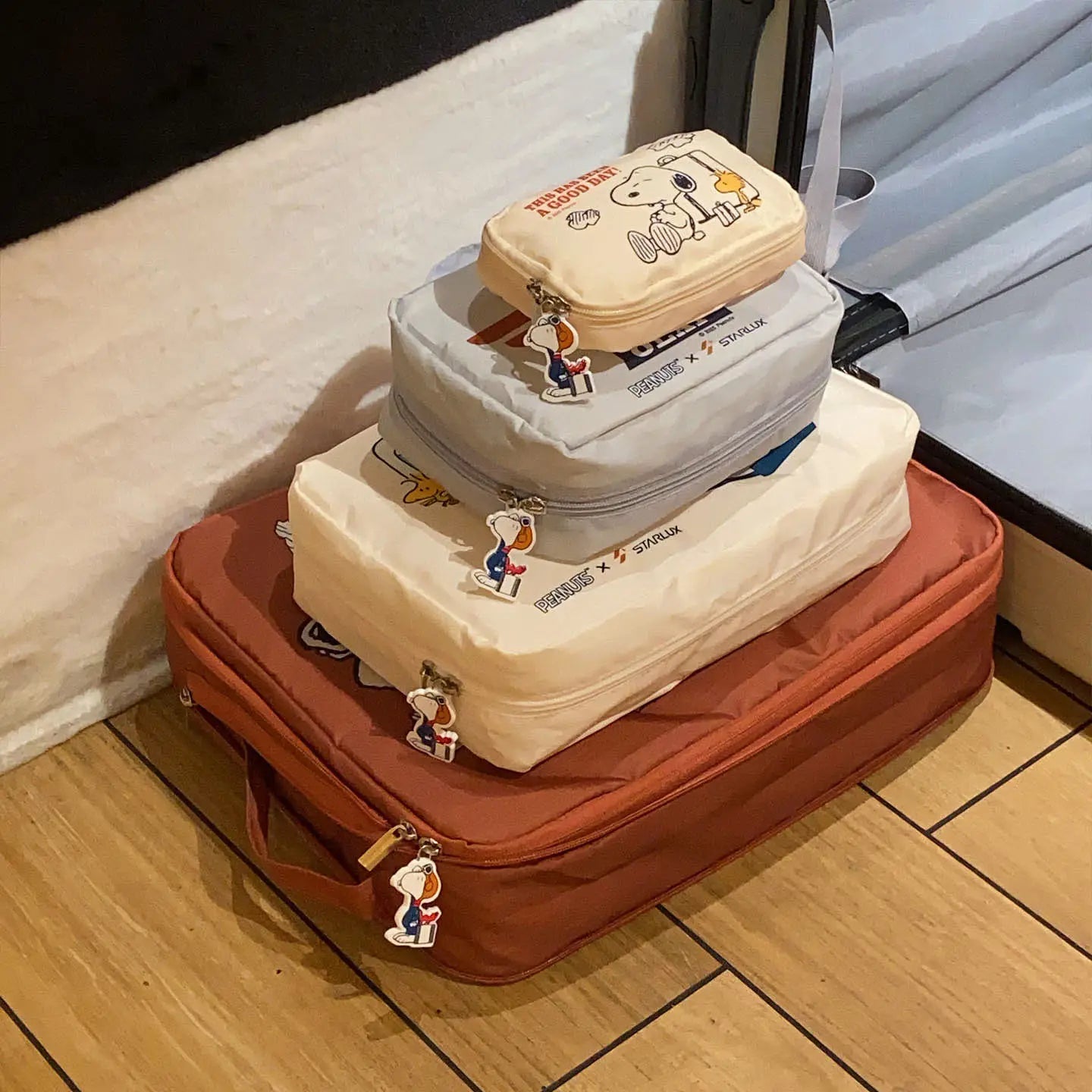 Snoopy Travel Storage Bag