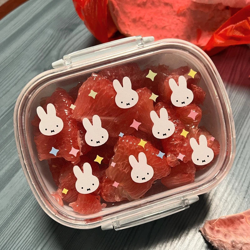 Miffy Lunchbox