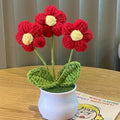Bunch Of Daisy In A Pot Crochet