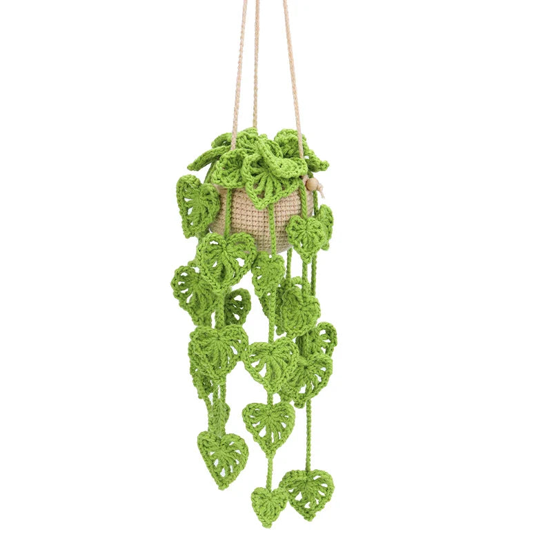 Hanging Plant DIY Kit