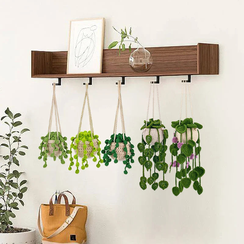 Hanging Plant DIY Kit
