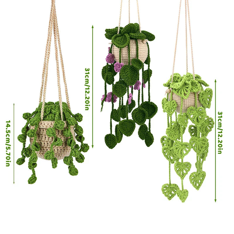 Hanging Plant DIY Kit
